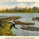 Illustration for article titled Freakish, Century-Old "Tall Tale Postcards" Were the 'Shops of Their Day
